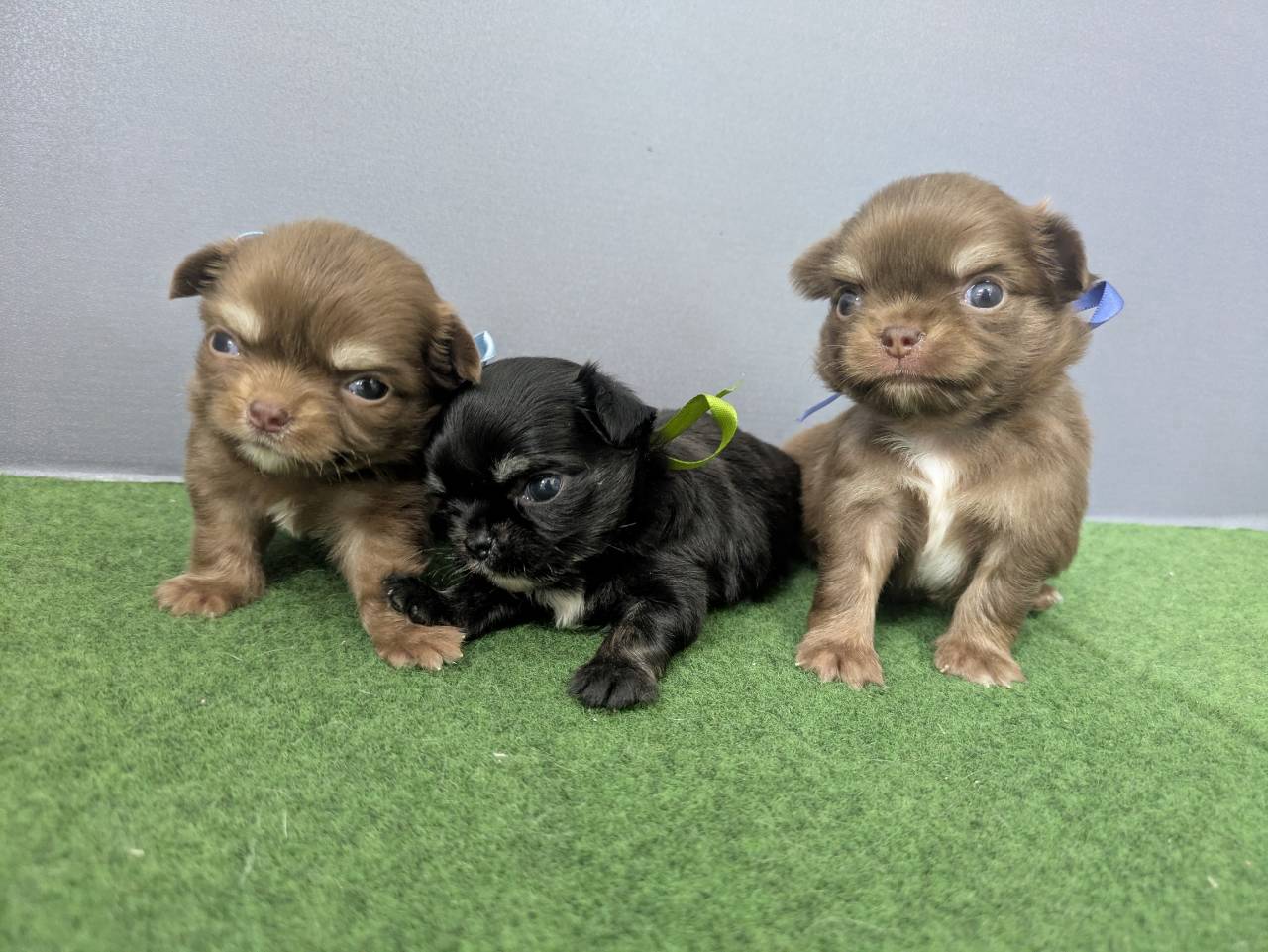 赤ちゃん写真2-3