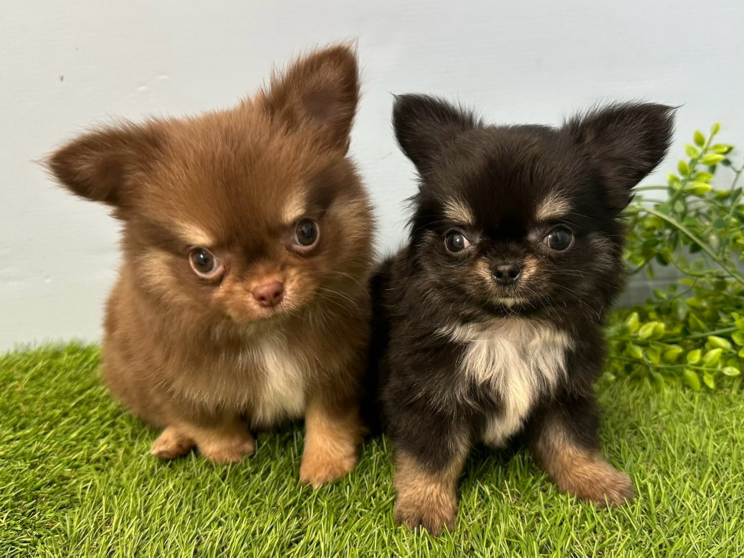 赤ちゃん写真3-3