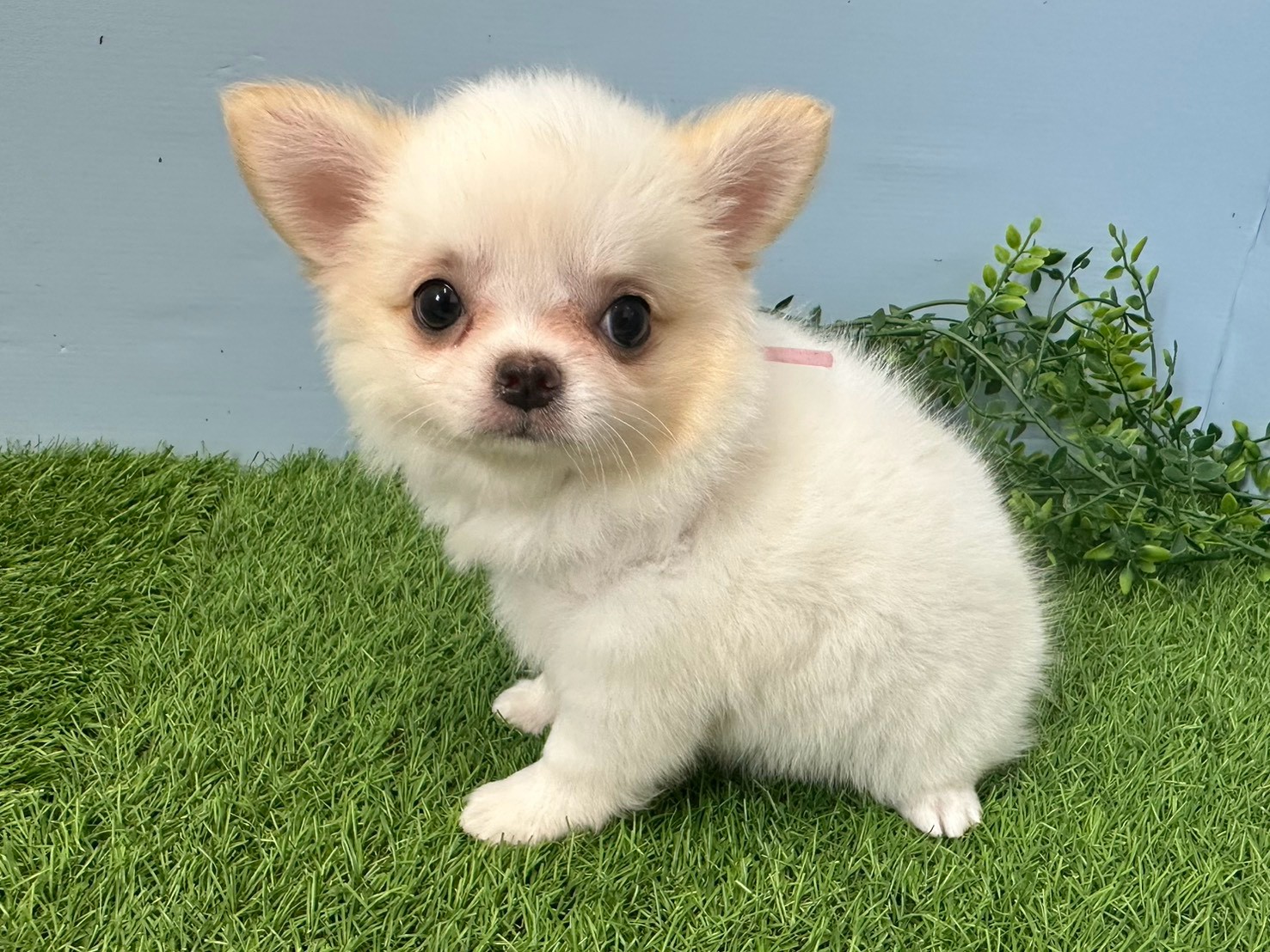 赤ちゃん写真3-2