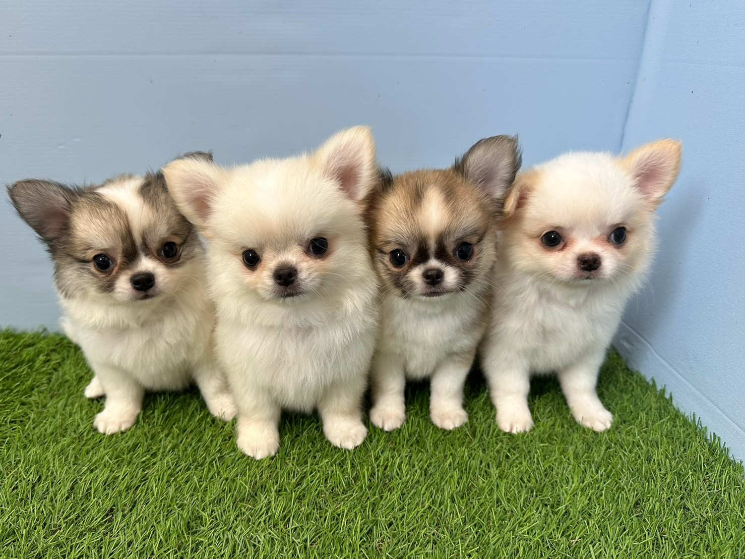 赤ちゃん写真3-3