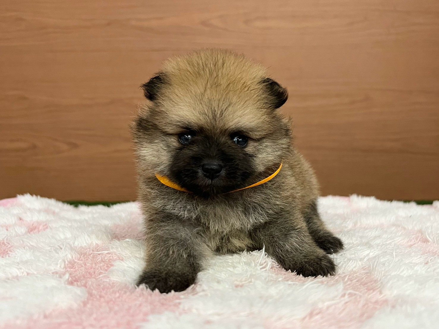 赤ちゃん写真2-1