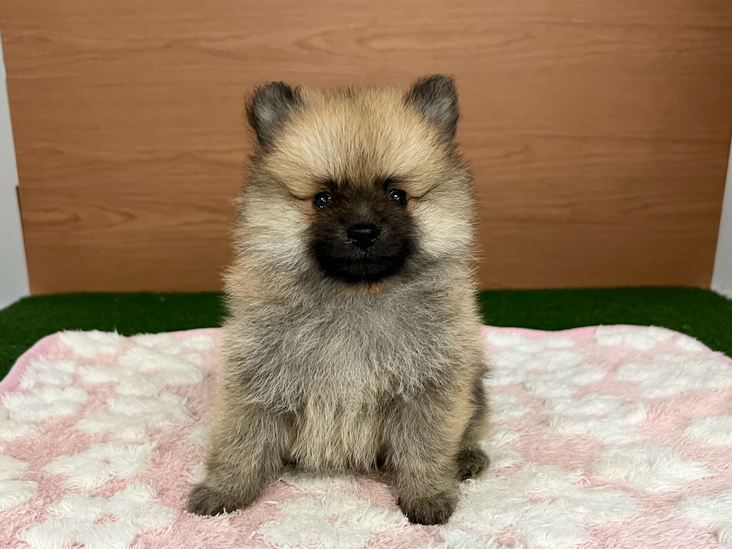 赤ちゃん写真3-1