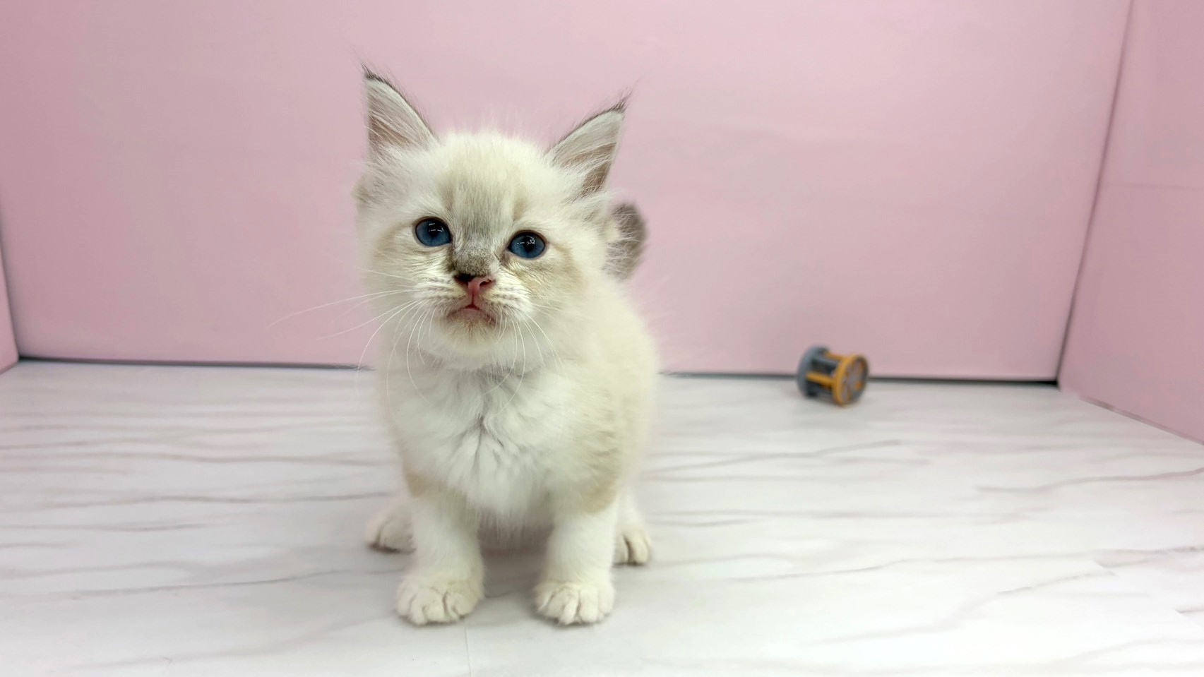 赤ちゃん写真2-1