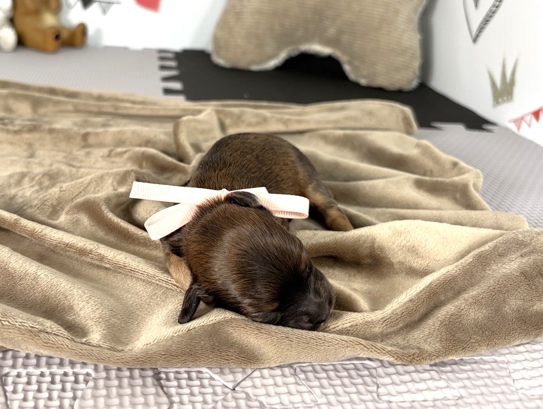 赤ちゃん写真1-1
