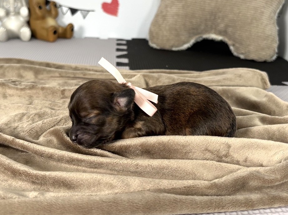赤ちゃん写真1-2