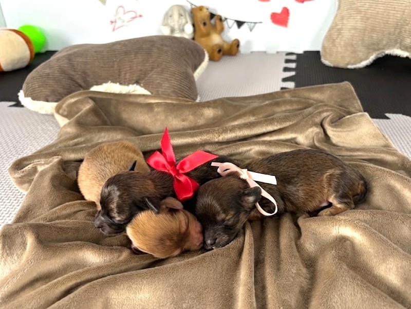 赤ちゃん写真1-3