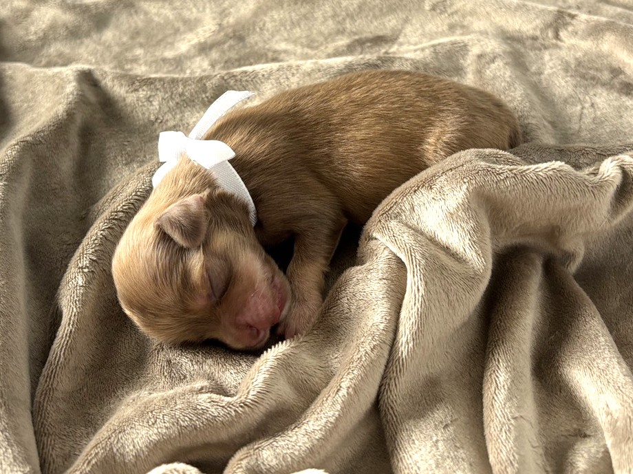 赤ちゃん写真1-2