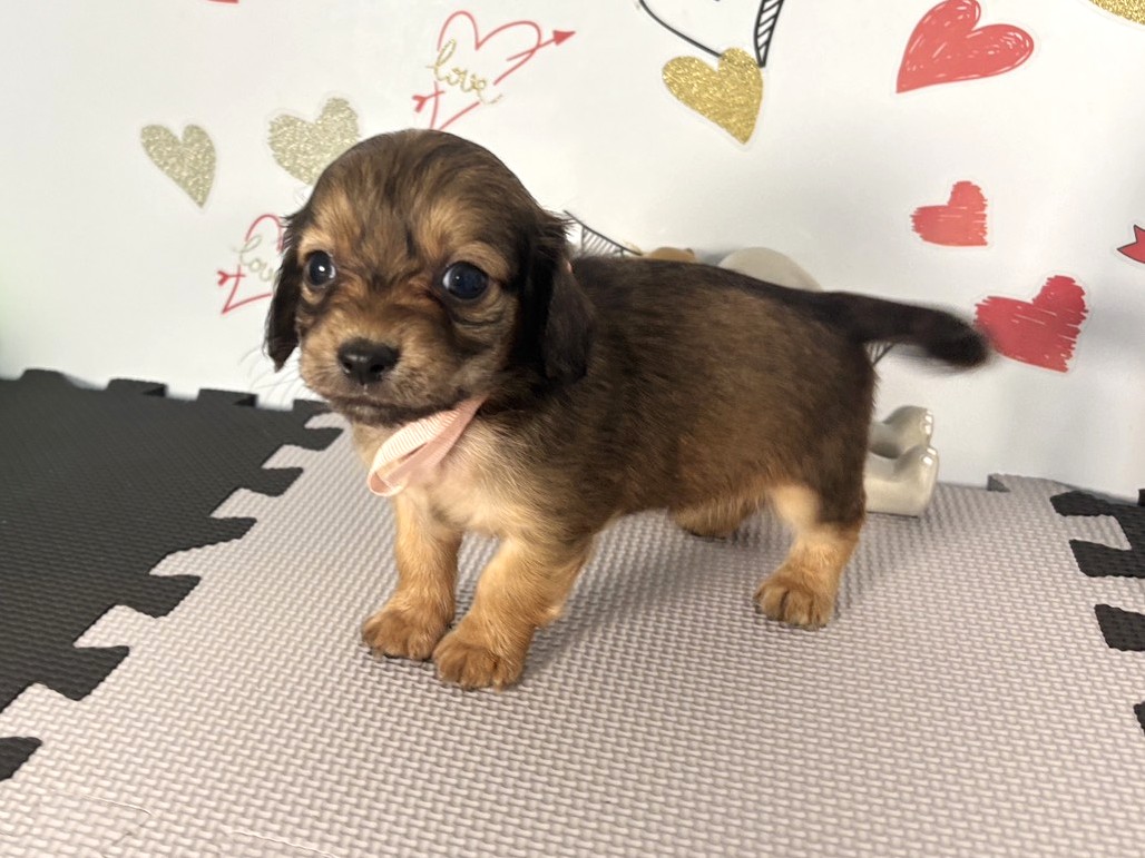 赤ちゃん写真2-2