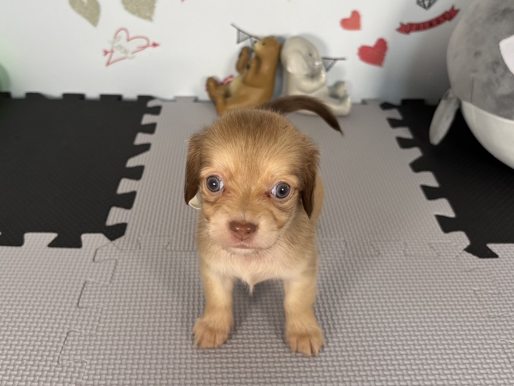 赤ちゃん写真2-1