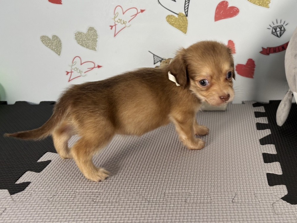 赤ちゃん写真2-2