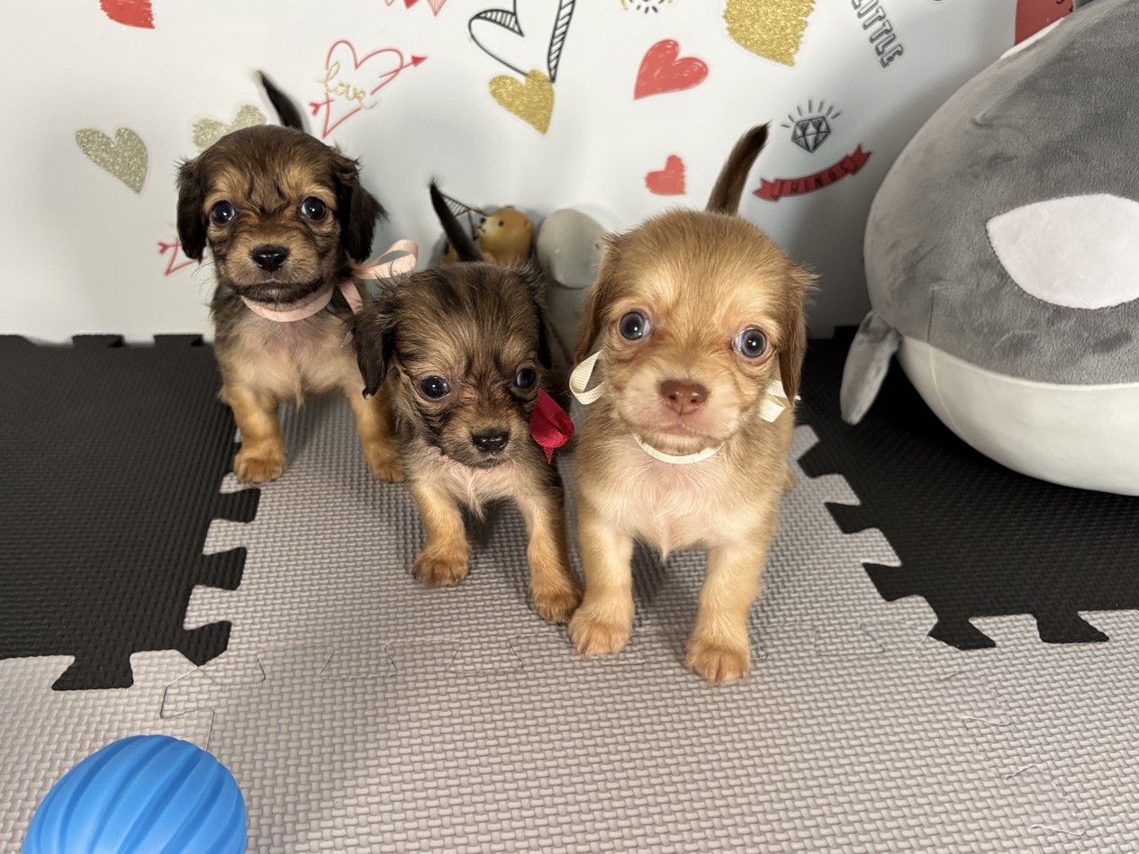 赤ちゃん写真2-3