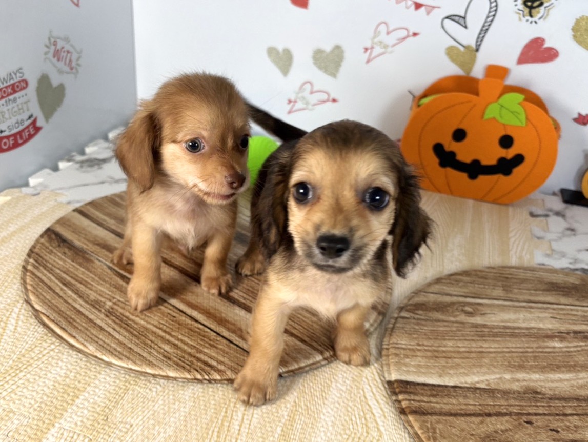 赤ちゃん写真3-3