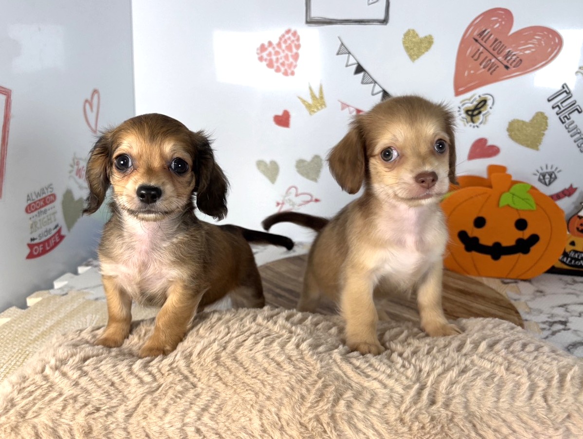 赤ちゃん写真3-3