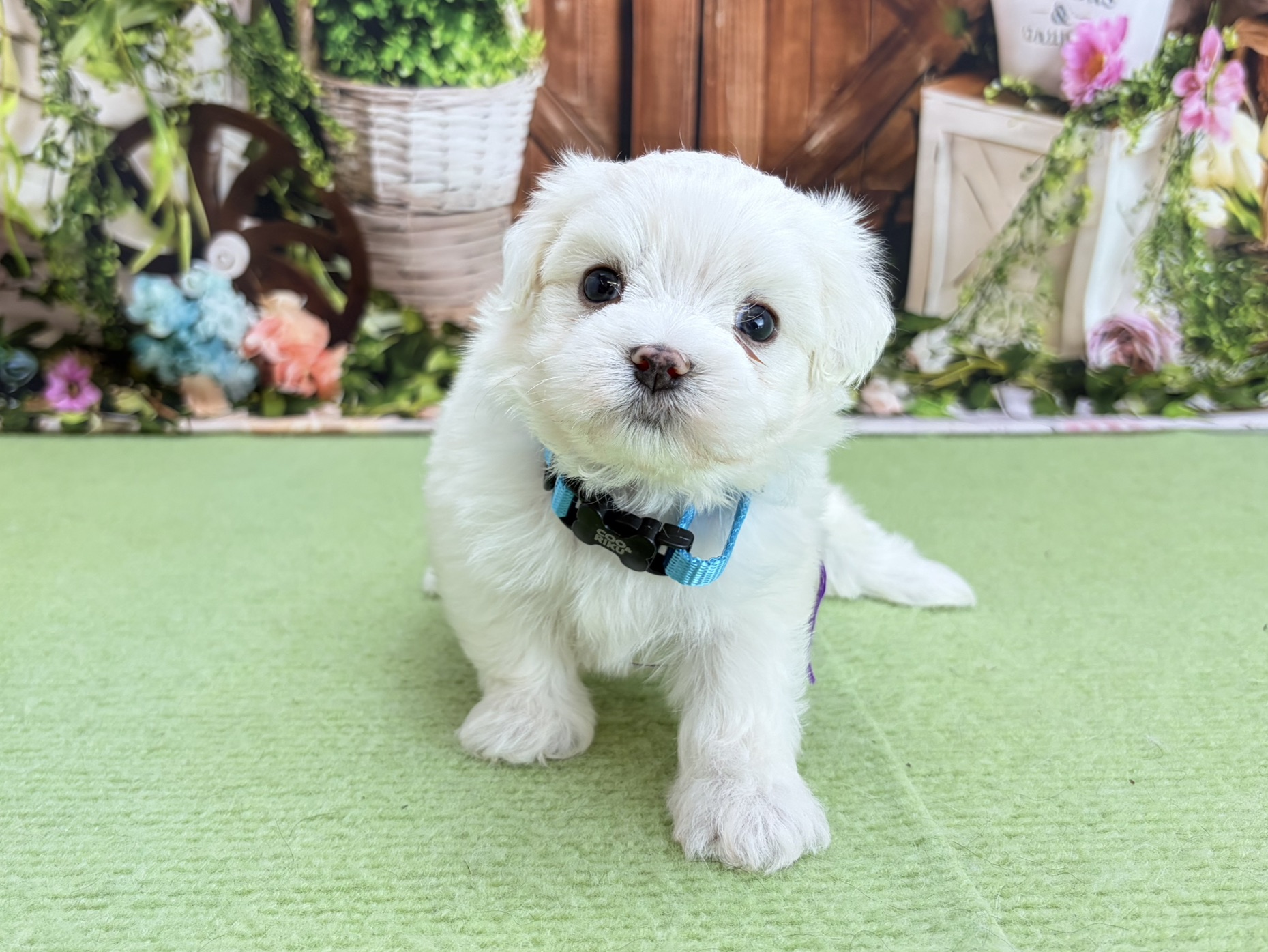 赤ちゃん写真2-1