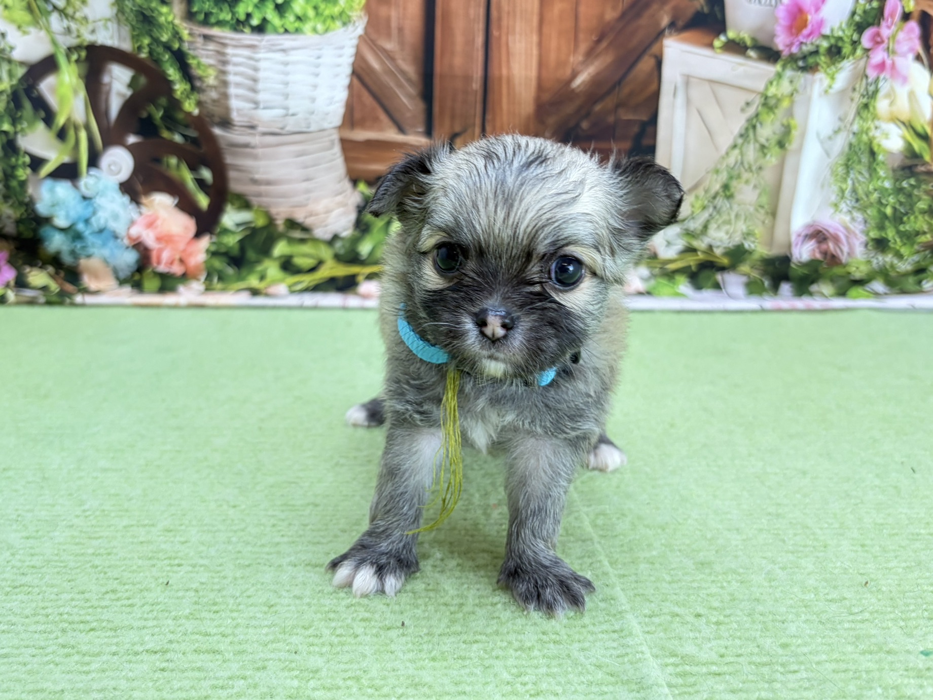 赤ちゃん写真2-1