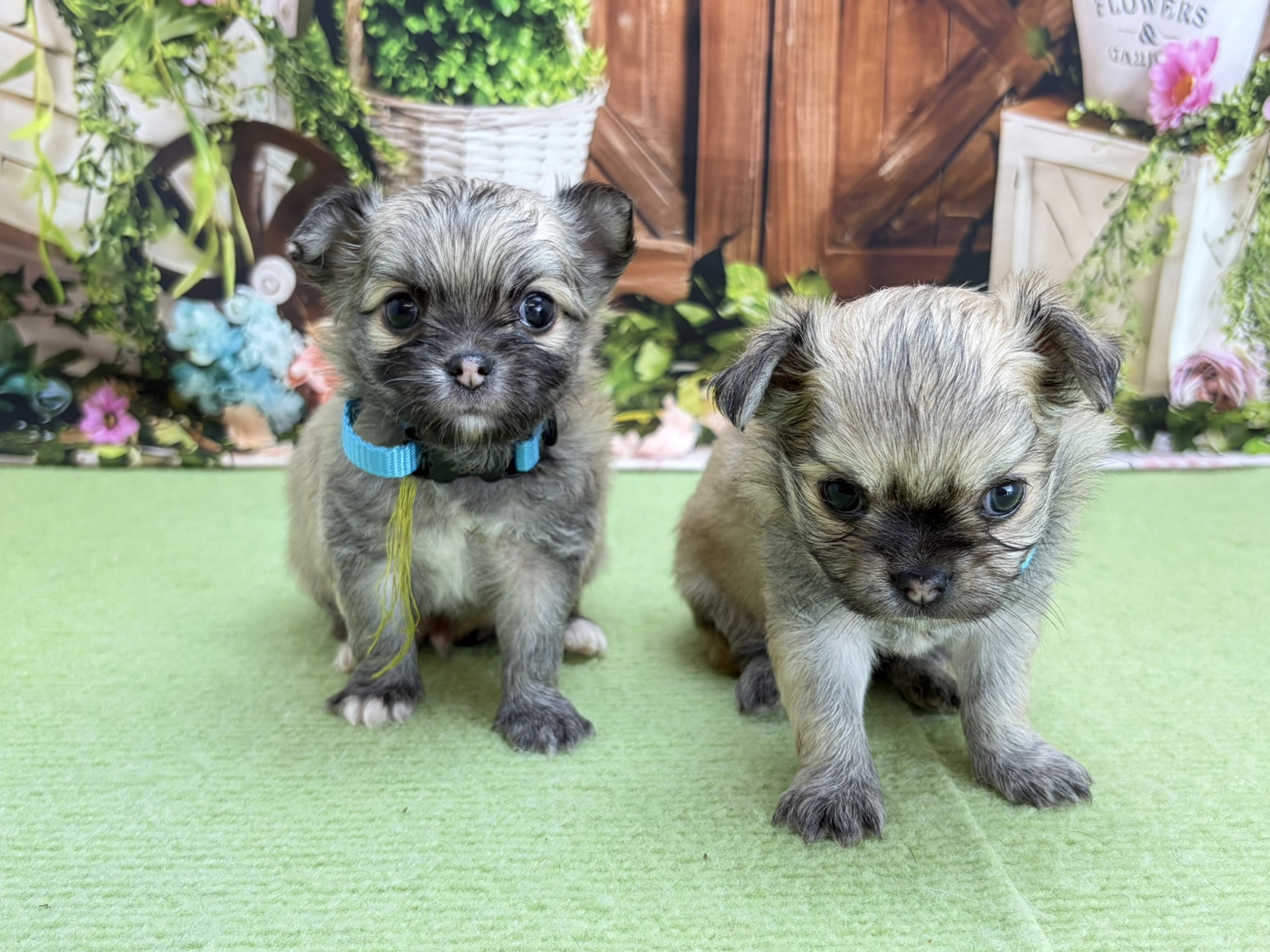 赤ちゃん写真2-3