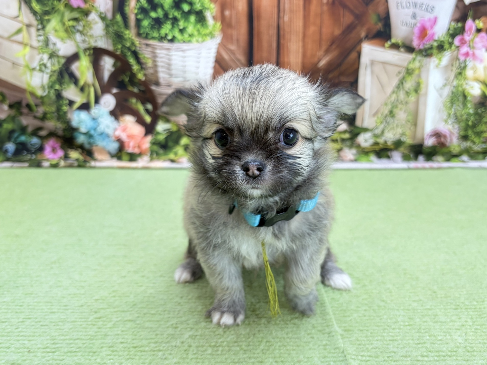 赤ちゃん写真3-1