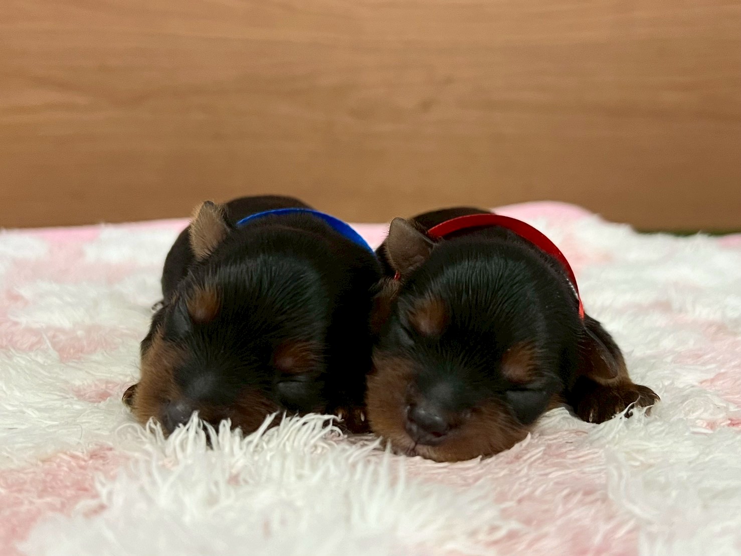 赤ちゃん写真1-3