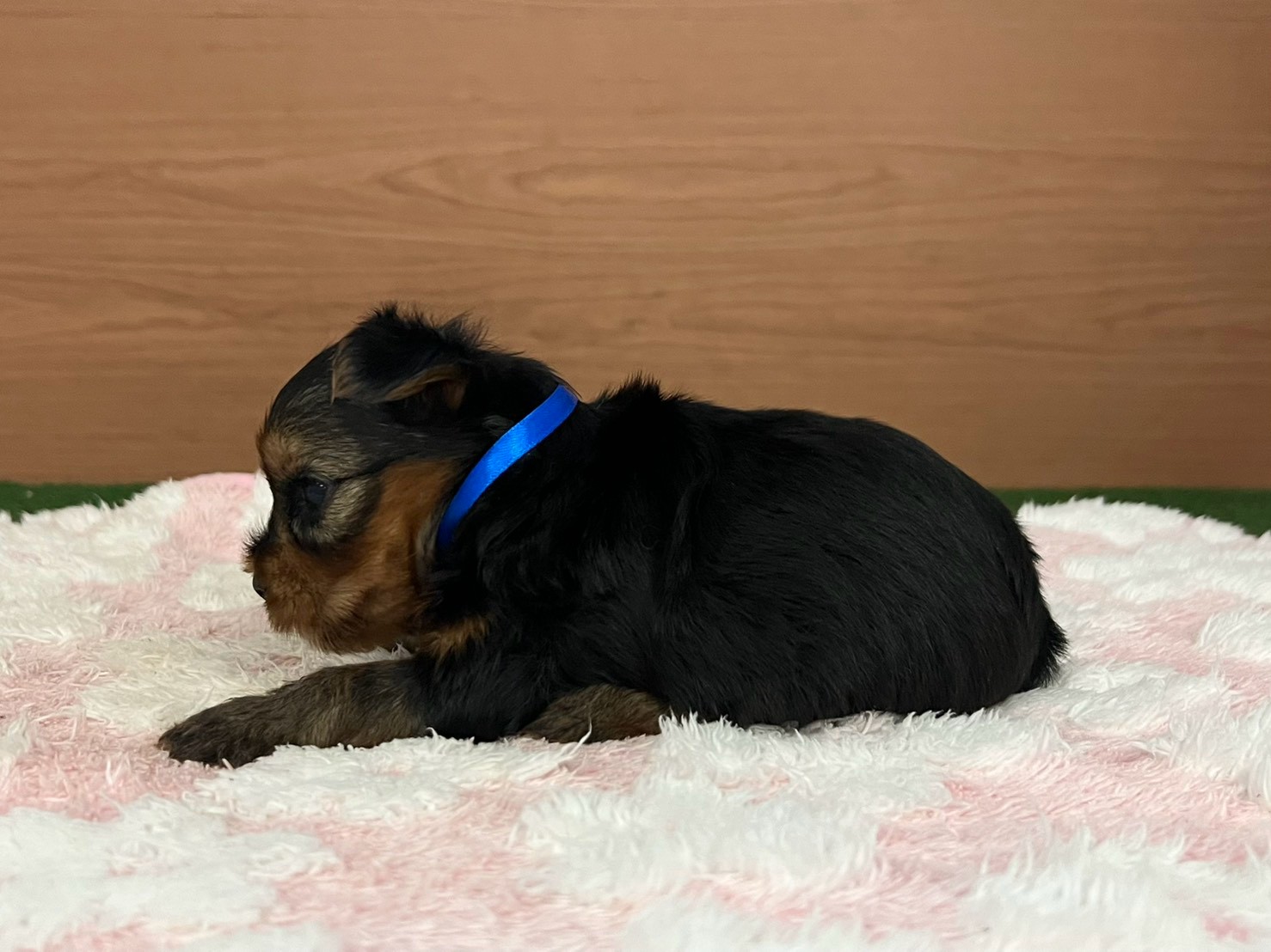 赤ちゃん写真2-2