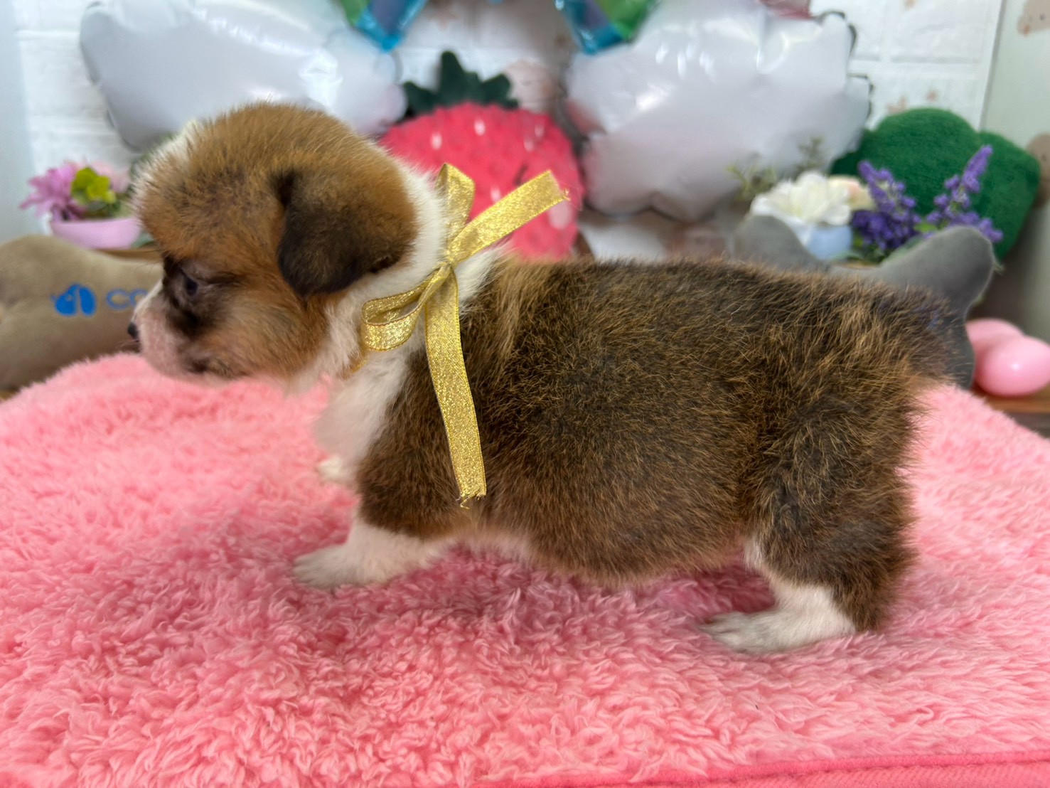 赤ちゃん写真2-2