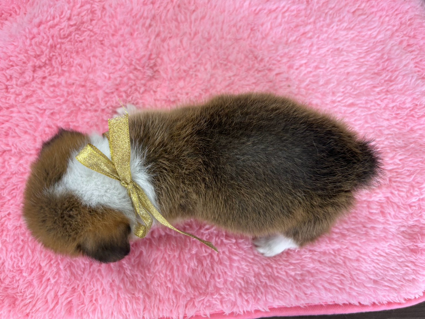 赤ちゃん写真2-3