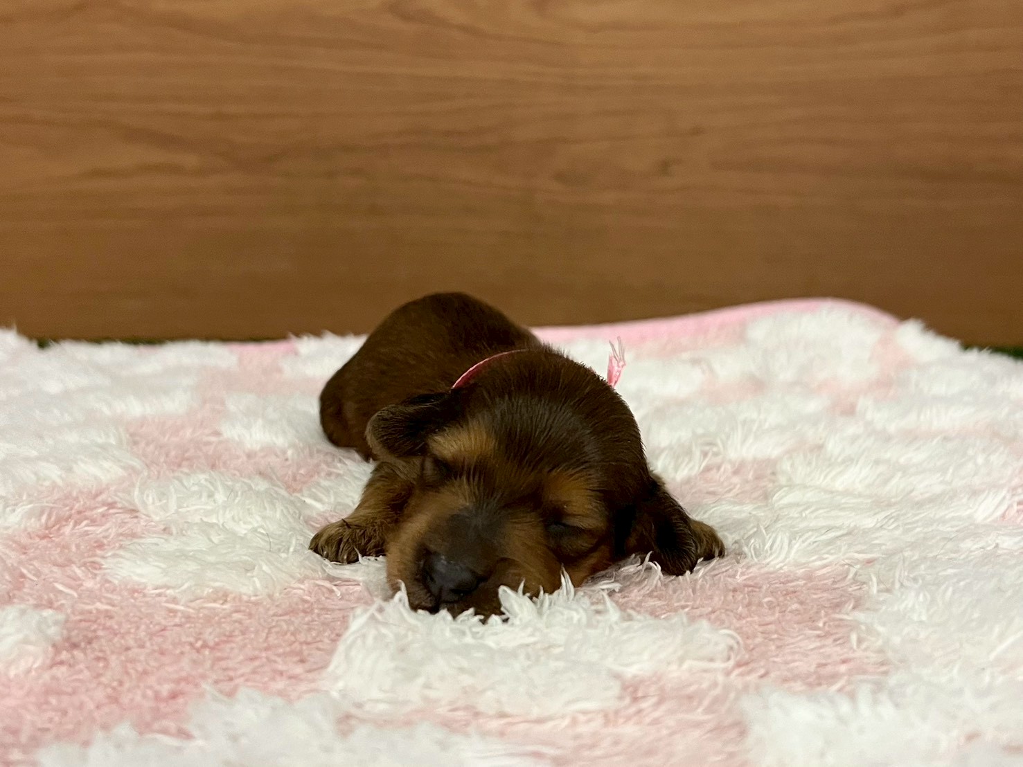 赤ちゃん写真1-1
