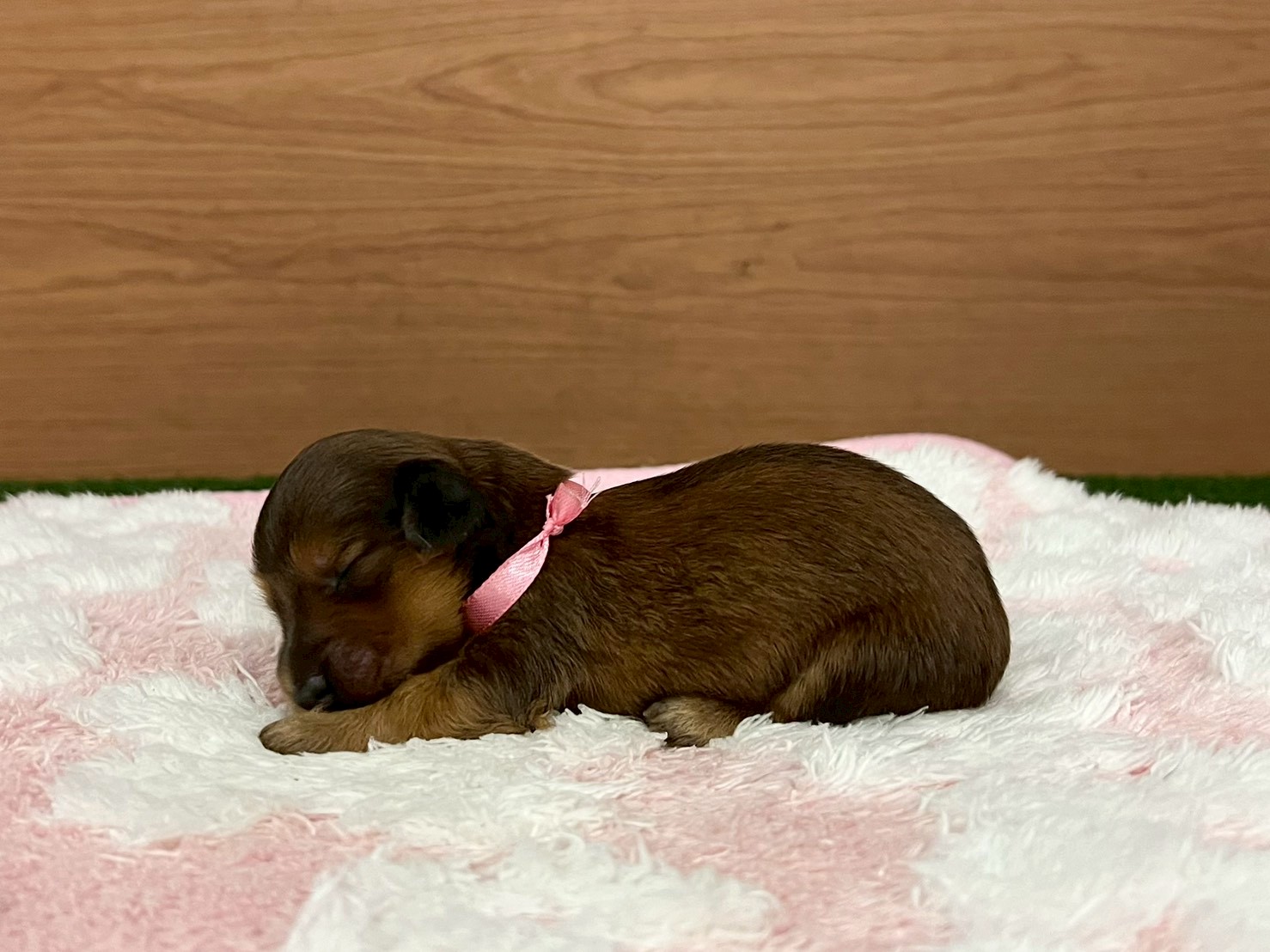 赤ちゃん写真1-2