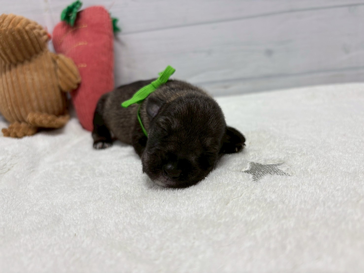 赤ちゃん写真1-1