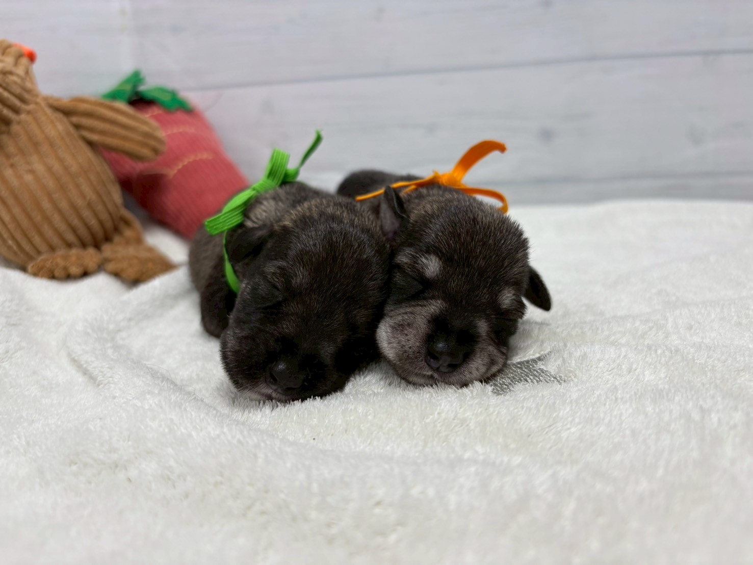 赤ちゃん写真1-3