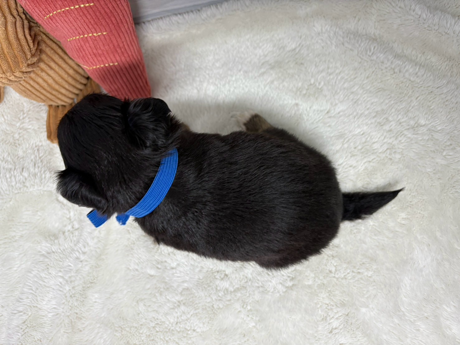 赤ちゃん写真2-3