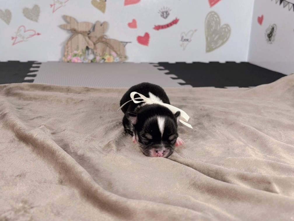 赤ちゃん写真1-1