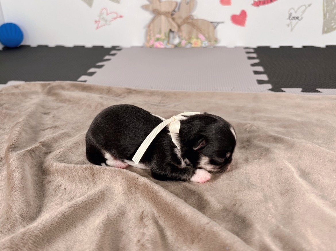 赤ちゃん写真1-2