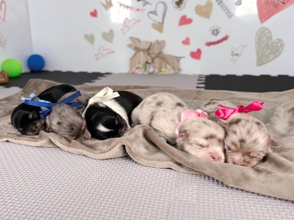 赤ちゃん写真1-3