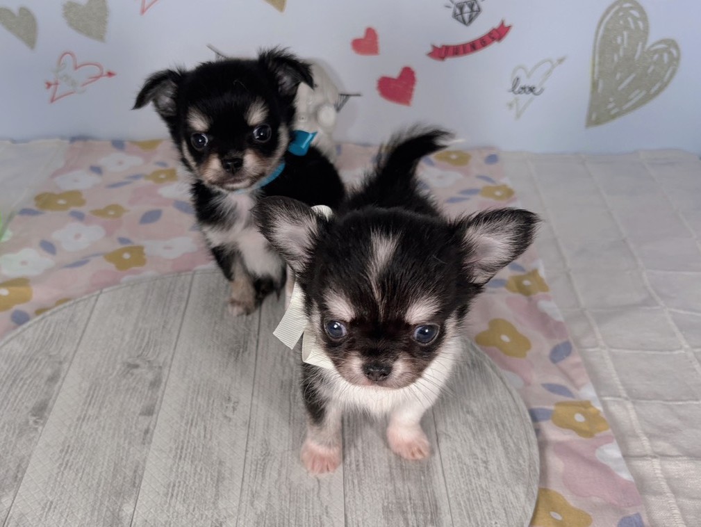 赤ちゃん写真2-3