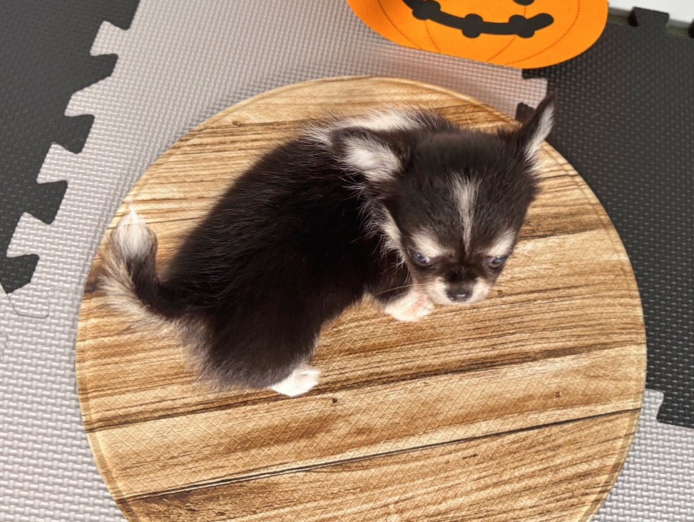 赤ちゃん写真3-3