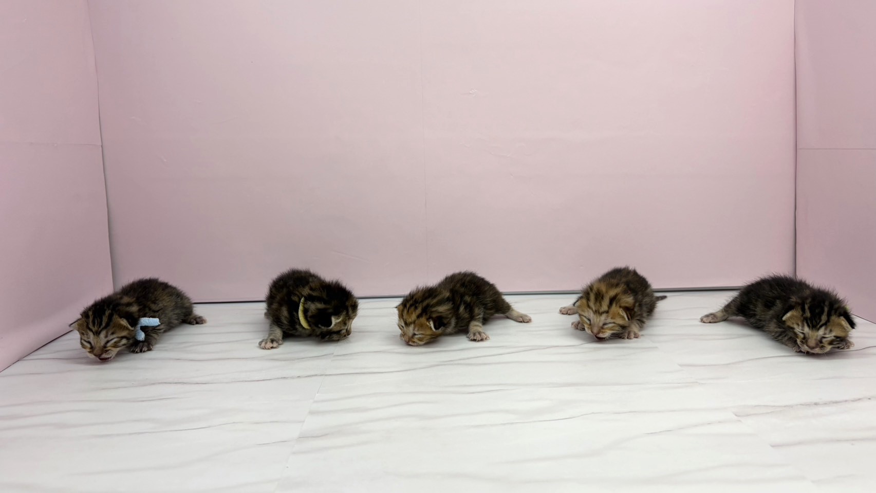 赤ちゃん写真1-3