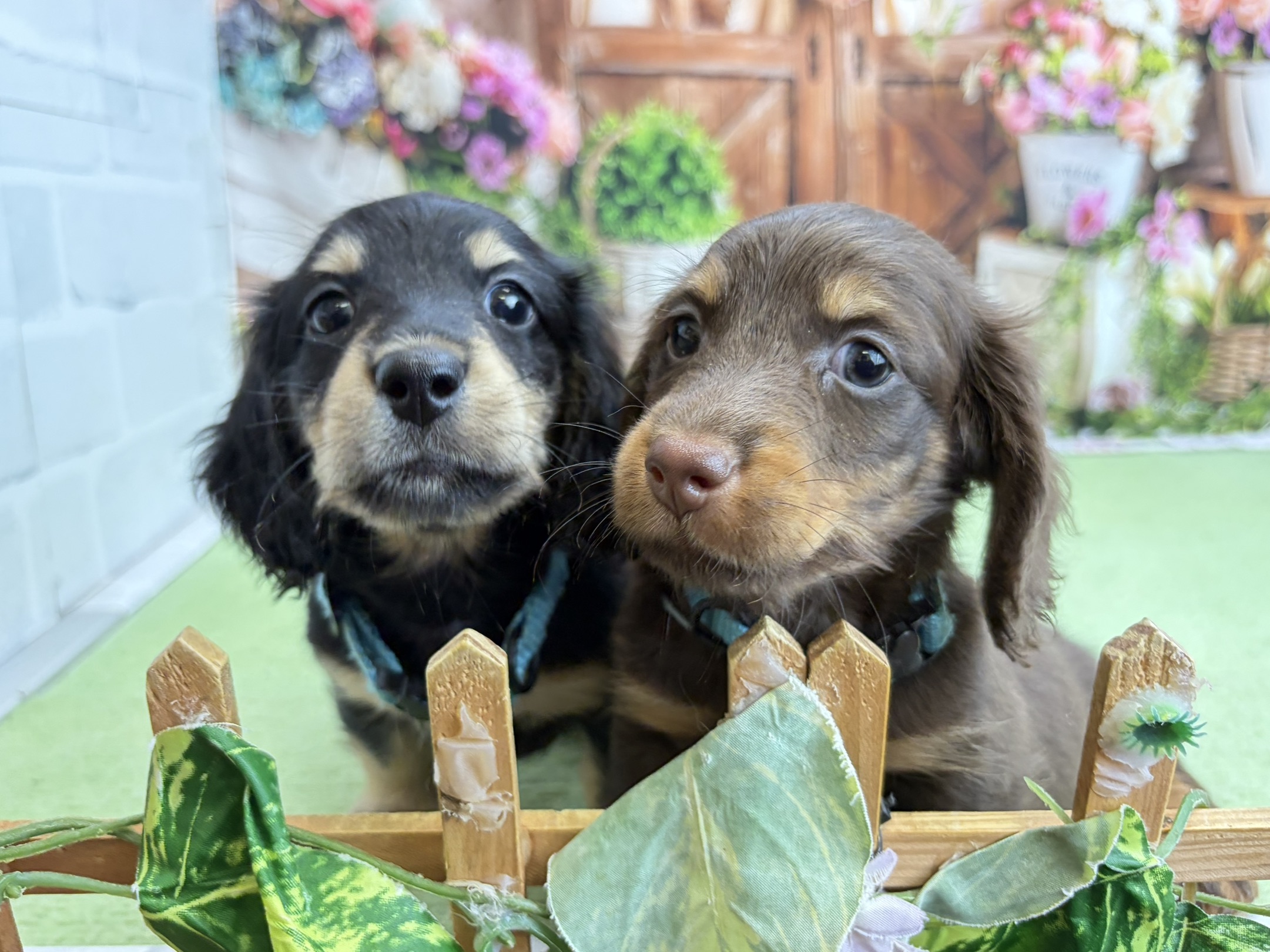 赤ちゃん写真3-3