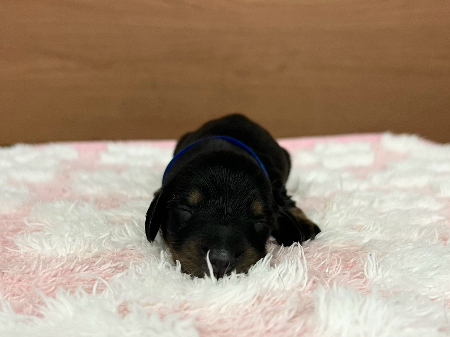 赤ちゃん写真1-1