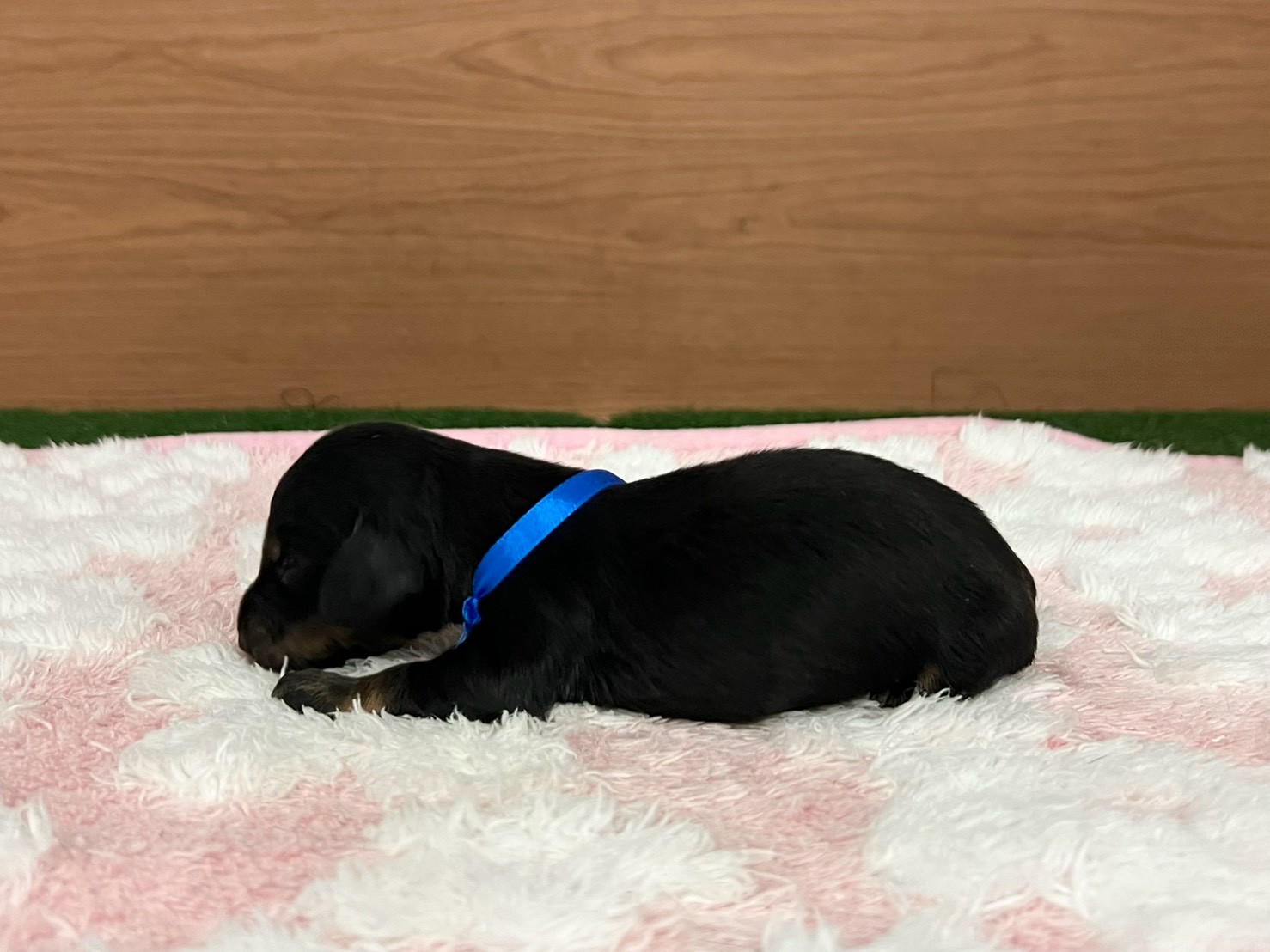 赤ちゃん写真1-2