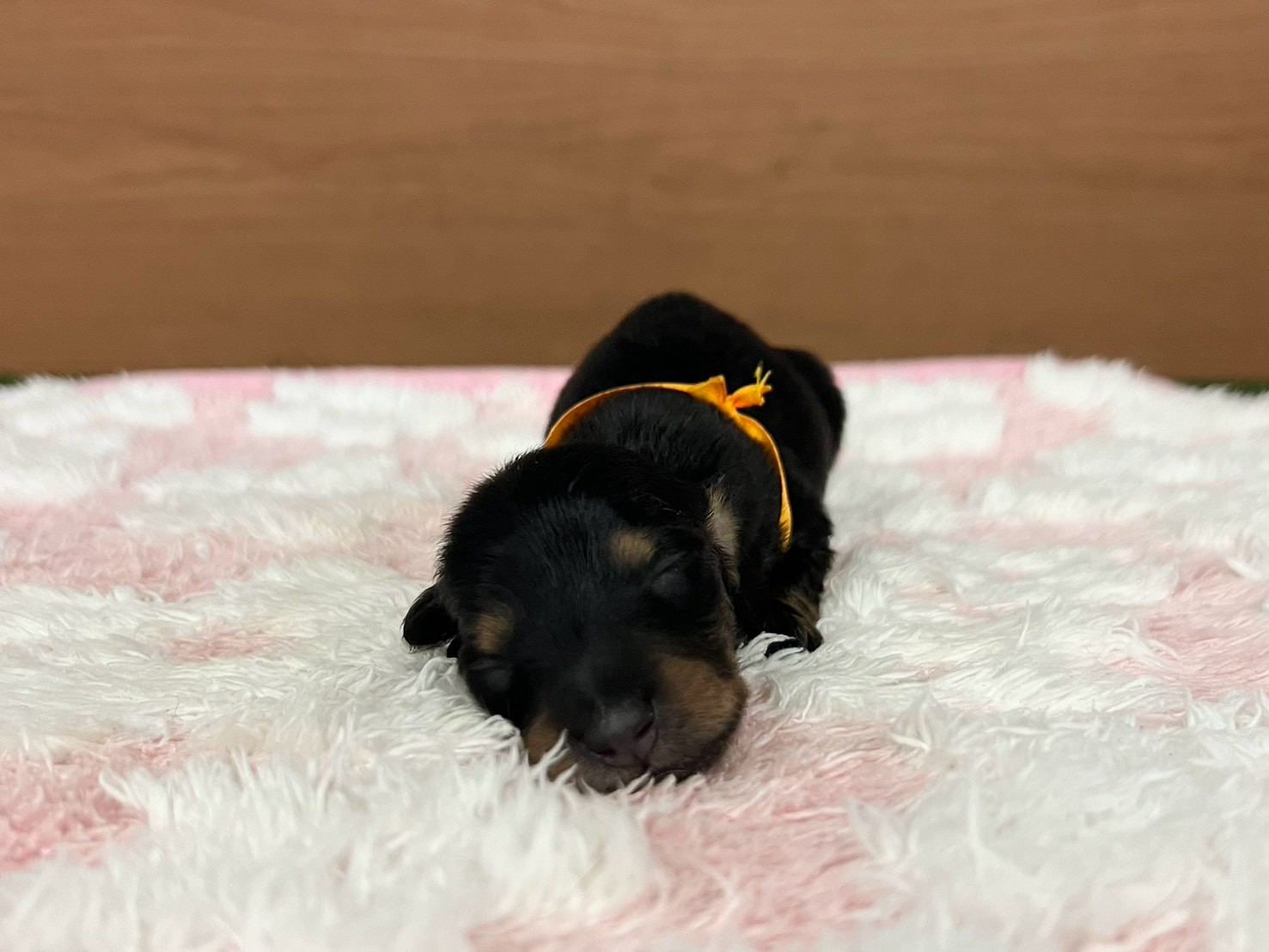 赤ちゃん写真1-1