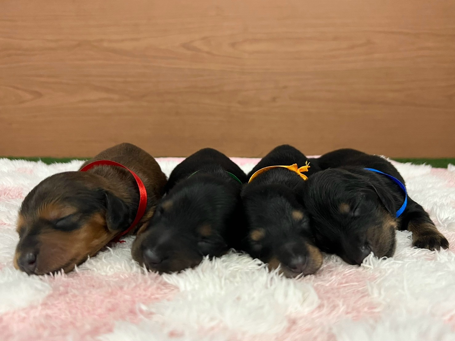 赤ちゃん写真1-3