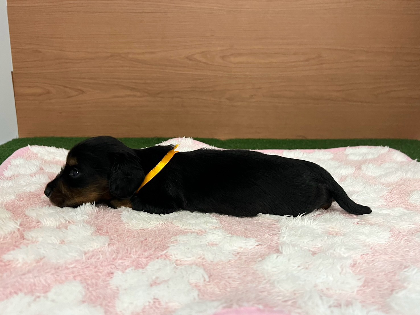 赤ちゃん写真2-2