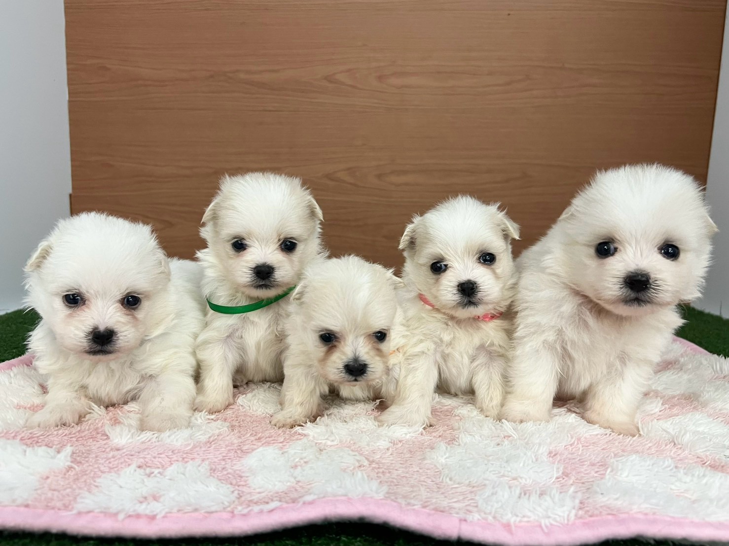赤ちゃん写真2-3