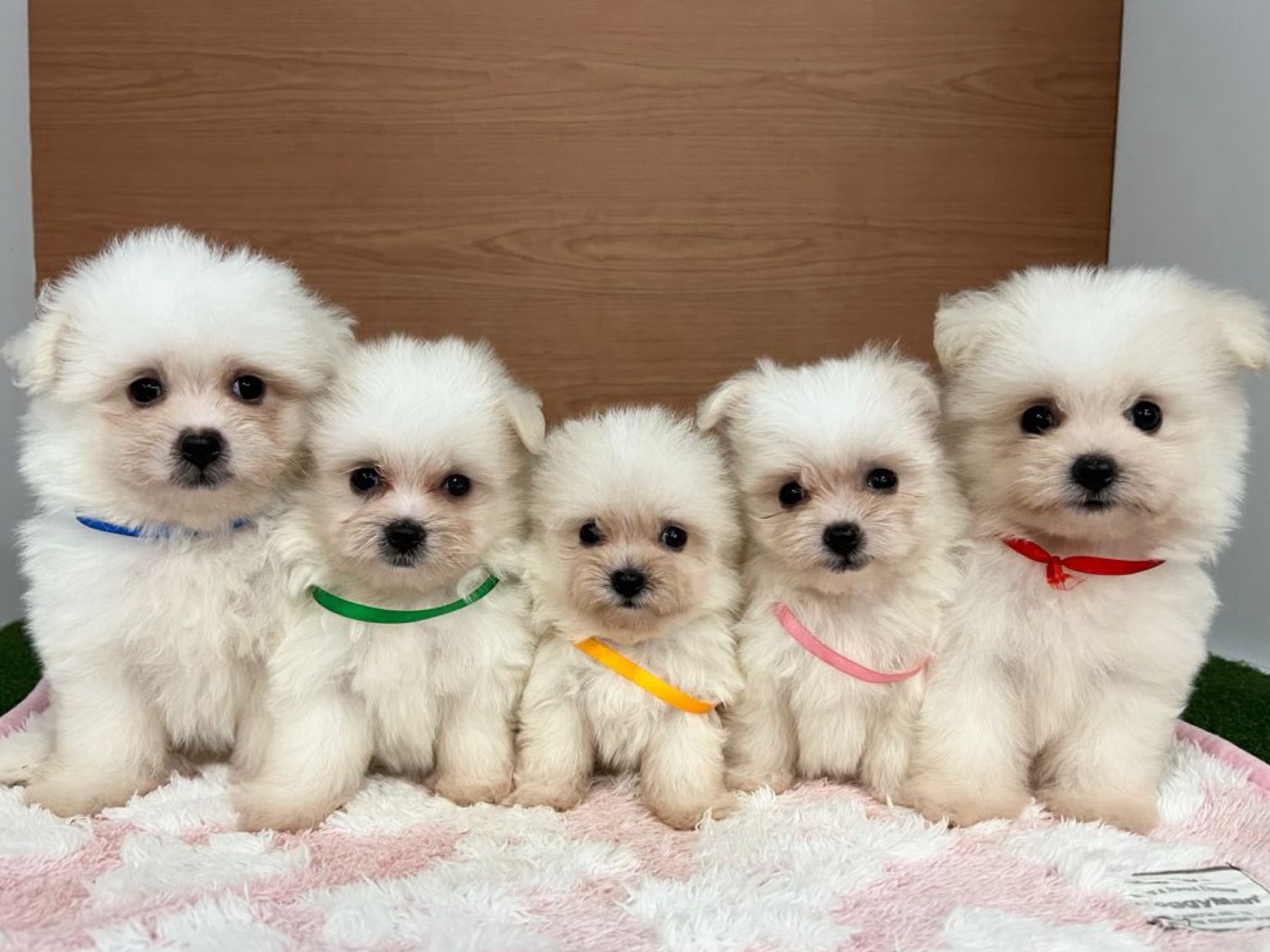 赤ちゃん写真3-3