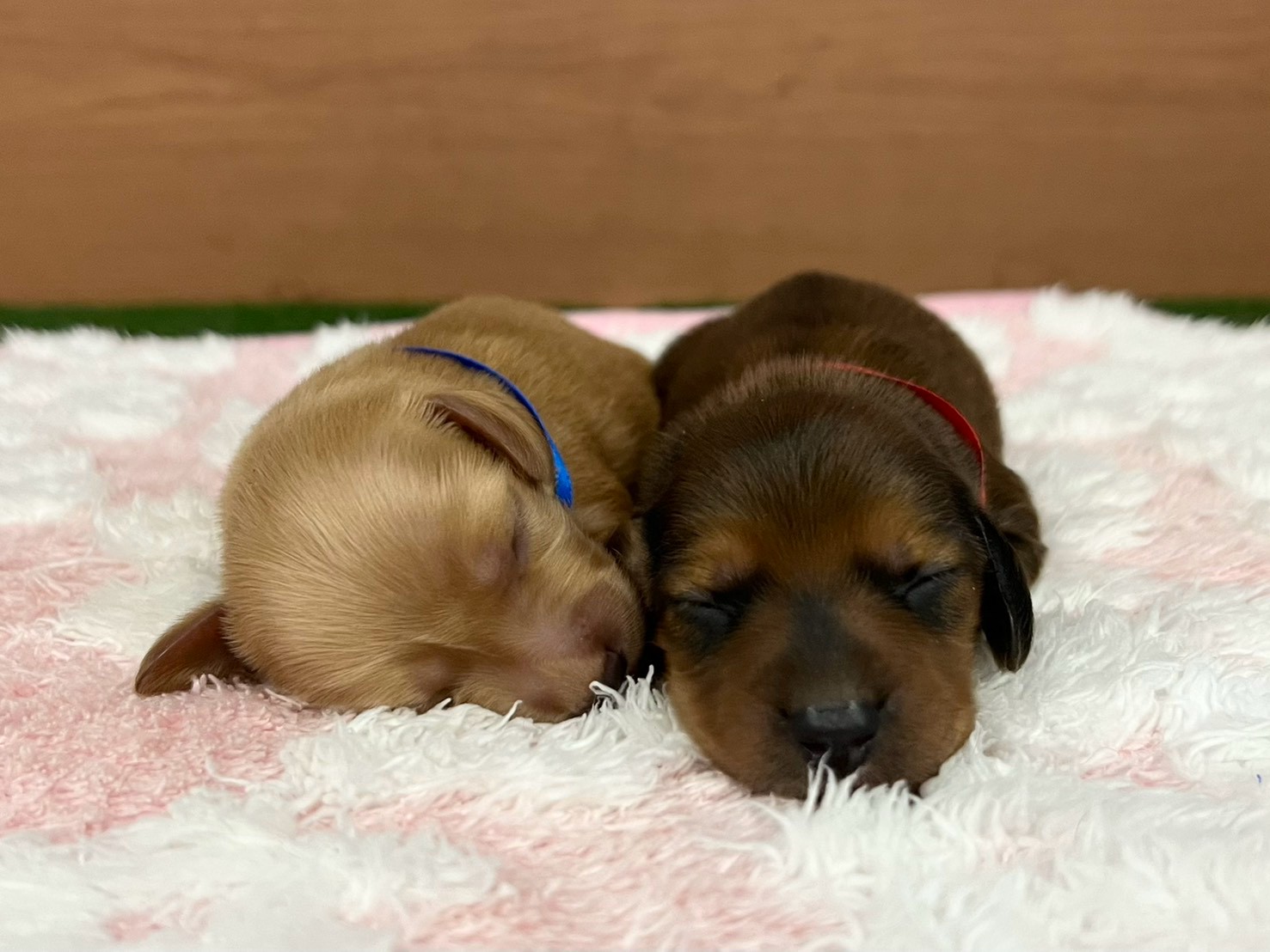 赤ちゃん写真1-3