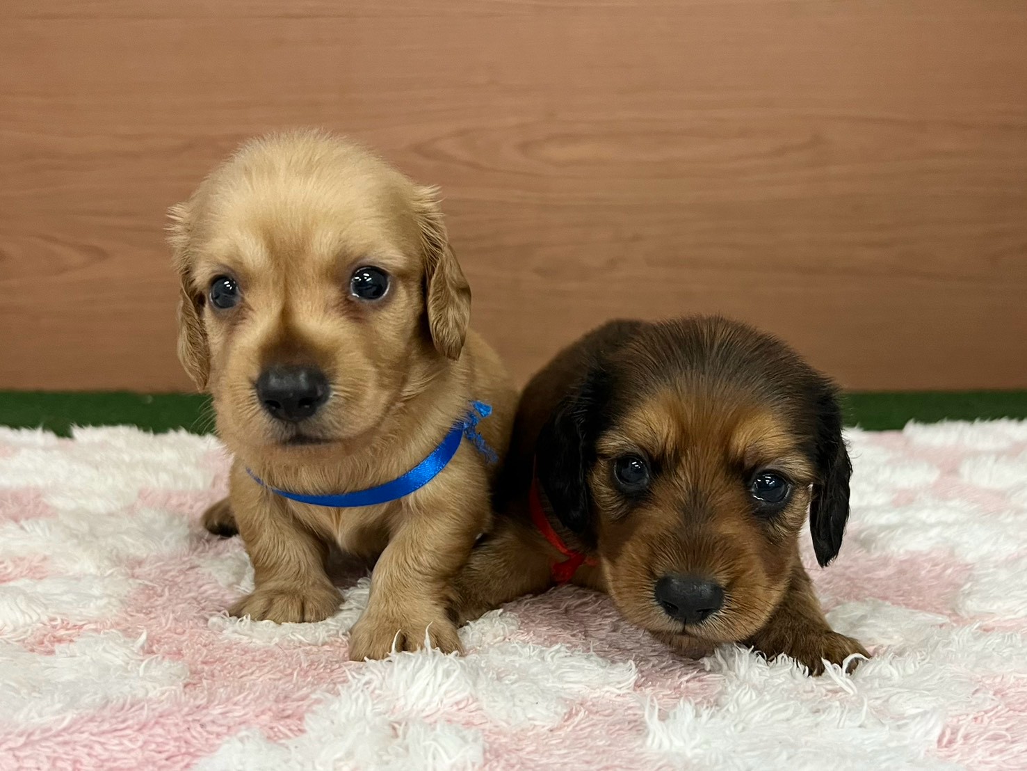 赤ちゃん写真2-3