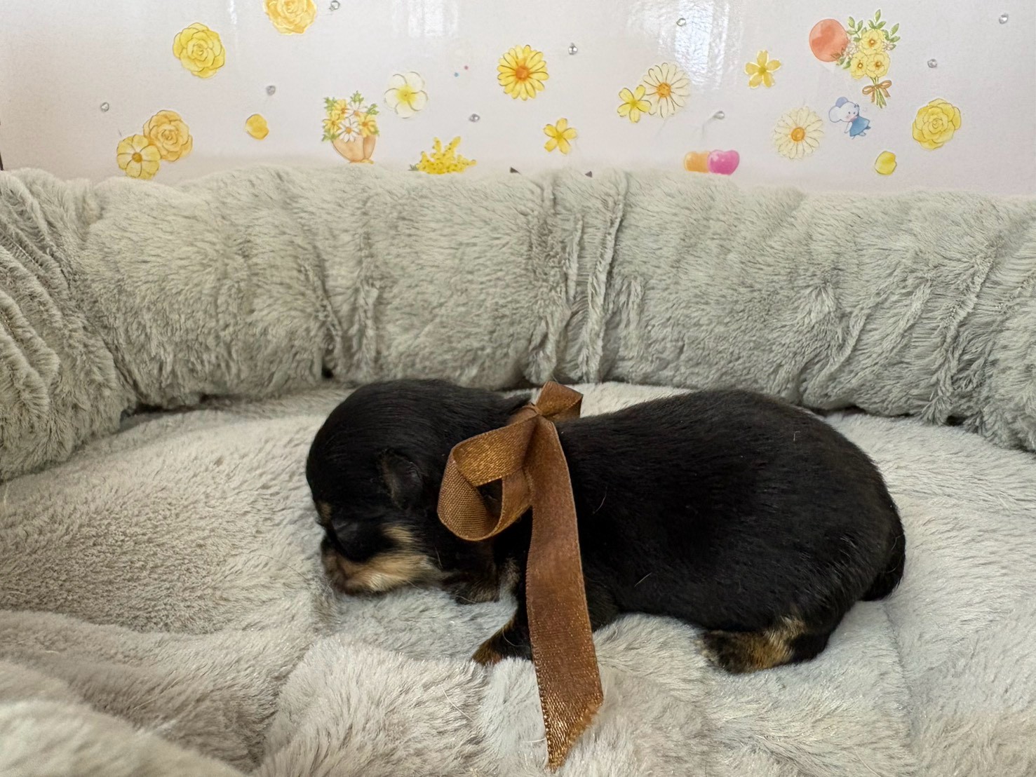 赤ちゃん写真1-2