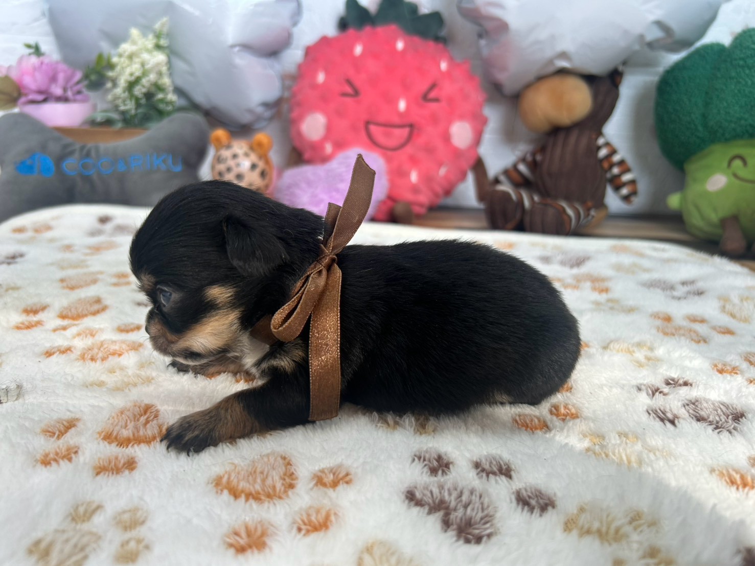 赤ちゃん写真2-2