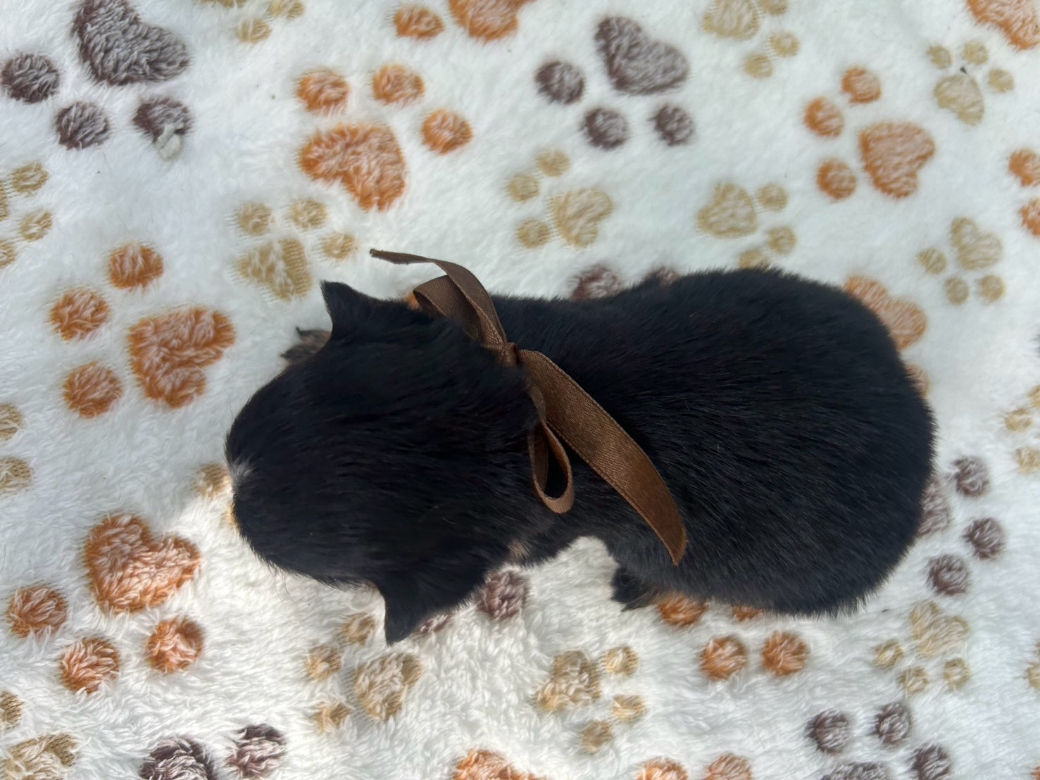 赤ちゃん写真2-3