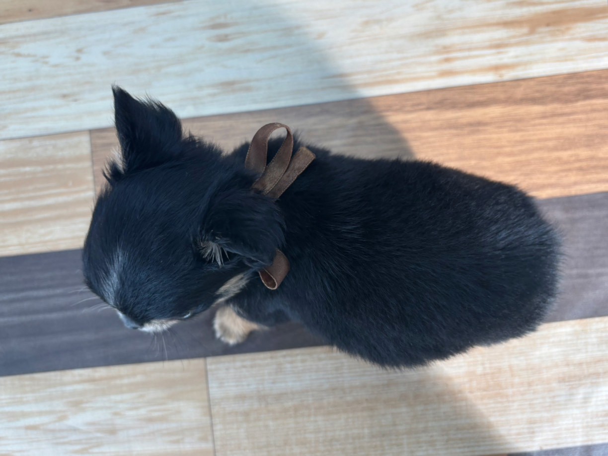 赤ちゃん写真3-3
